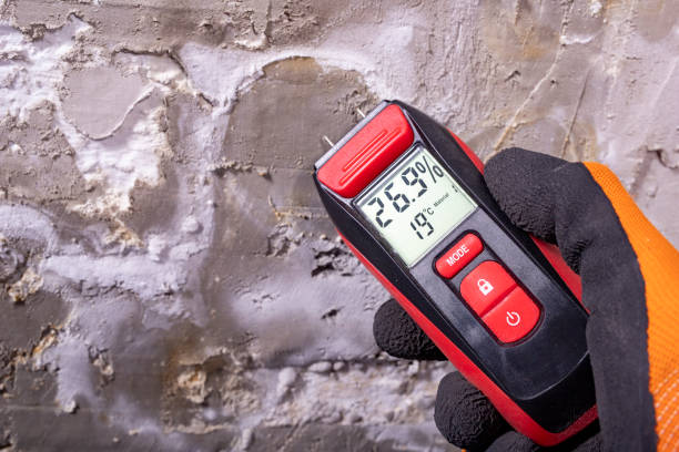 Best Residential Mold Remediation in Biola, CA