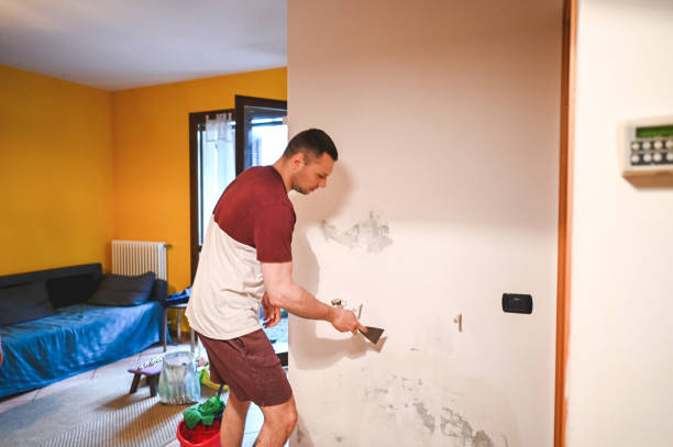 Best Black Mold Remediation in Biola, CA